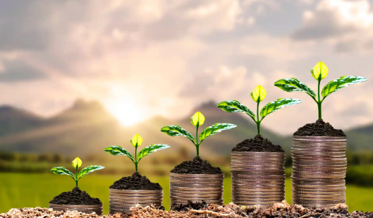 Small Budget, Big Branding: Affordable Branding Packages That Deliver
